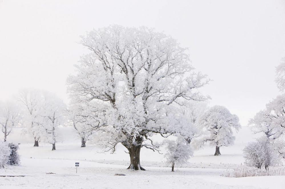 Farnham Estate Spa And Golf Resort Cavan Esterno foto